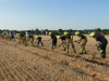 Übung Feldbrand Feuerwehr Stein 18.07.2023 (2)