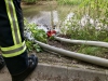 Feuerwehr Stein füllt Weiher im Rednitzgrund auf (18.07.2019)_IMG_5766